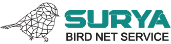 Bird Safety net services in Ahmedabad